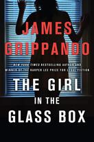 link to The Girl in the Glass Box in library catalog